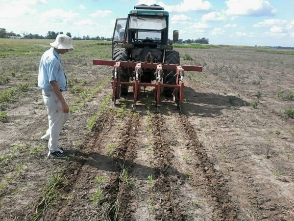 20 - Desmalezador ancho labor 3.2 metros - Enganche tres puntos